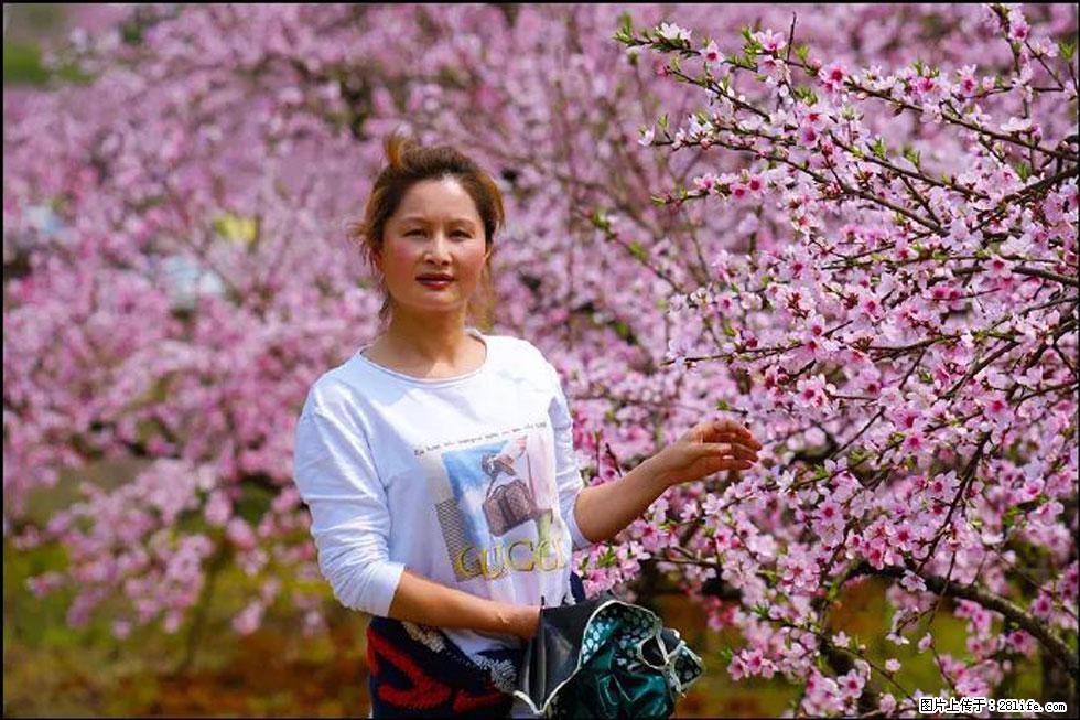 【春天,广西桂林灌阳县向您发出邀请!】官庄村有个醉美的桃花园 - 游山玩水 - 铜陵生活社区 - 铜陵28生活网 tongling.28life.com