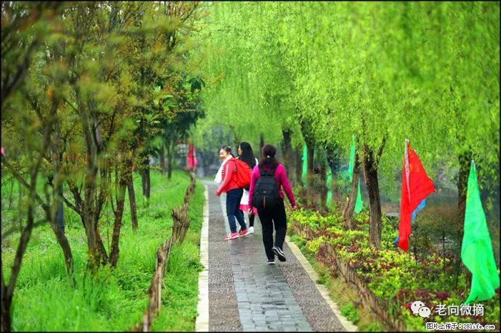 【春天,广西桂林灌阳县向您发出邀请!】江口老街又逢春 - 游山玩水 - 铜陵生活社区 - 铜陵28生活网 tongling.28life.com