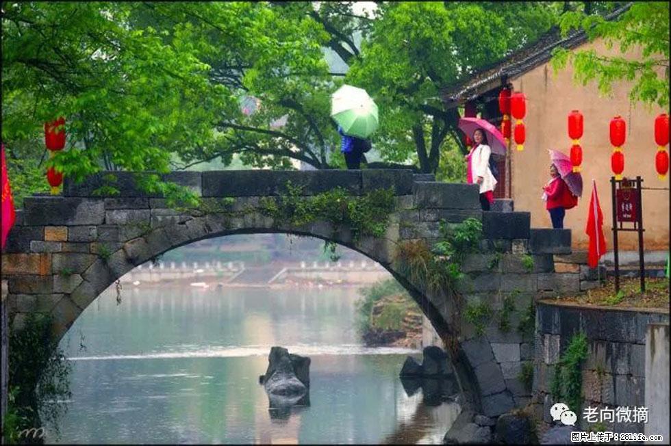 【春天,广西桂林灌阳县向您发出邀请!】江口老街又逢春 - 游山玩水 - 铜陵生活社区 - 铜陵28生活网 tongling.28life.com