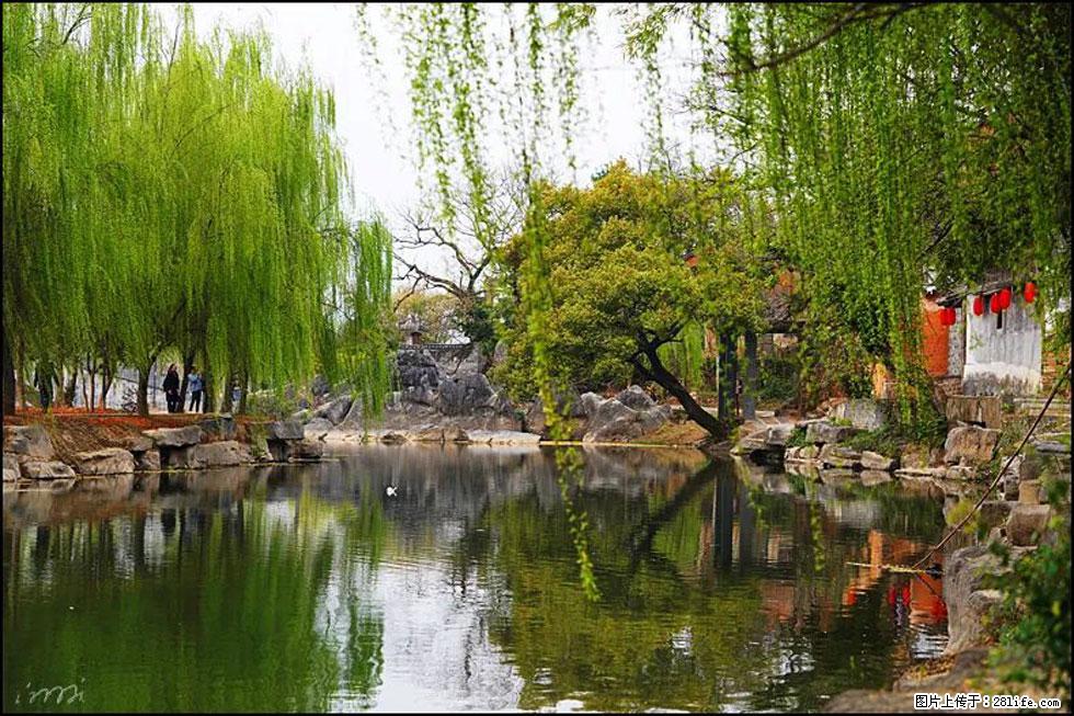 【春天,广西桂林灌阳县向您发出邀请!】江口老街又逢春 - 游山玩水 - 铜陵生活社区 - 铜陵28生活网 tongling.28life.com