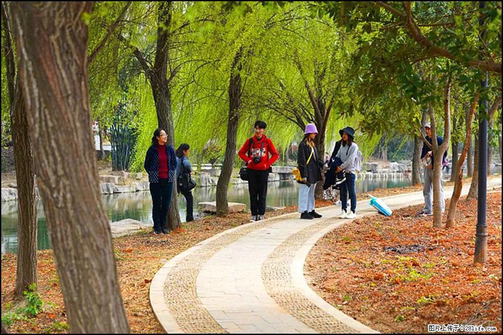 【春天,广西桂林灌阳县向您发出邀请!】江口老街又逢春 - 游山玩水 - 铜陵生活社区 - 铜陵28生活网 tongling.28life.com