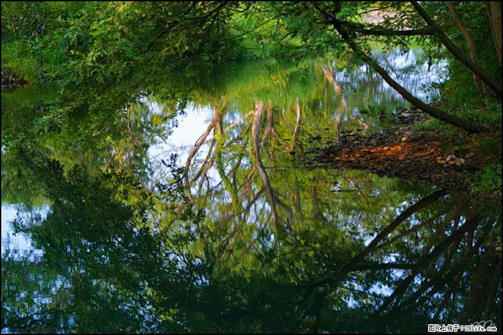 【春天,广西桂林灌阳县向您发出邀请!】熊家寨湿地公园 - 游山玩水 - 铜陵生活社区 - 铜陵28生活网 tongling.28life.com