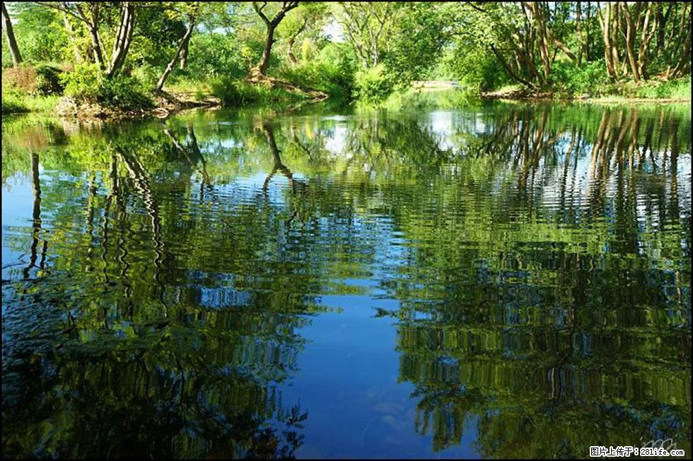 【春天,广西桂林灌阳县向您发出邀请!】熊家寨湿地公园 - 游山玩水 - 铜陵生活社区 - 铜陵28生活网 tongling.28life.com
