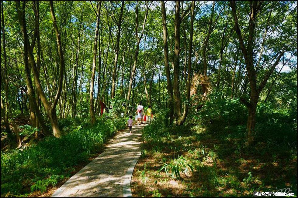 【春天,广西桂林灌阳县向您发出邀请!】熊家寨湿地公园 - 游山玩水 - 铜陵生活社区 - 铜陵28生活网 tongling.28life.com