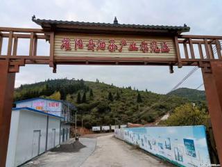 【灌阳县油茶产业示范区】一个有着充实的精神生活的人,对待身外之物自会有一种淡泊的态度 - 铜陵28生活网 tongling.28life.com