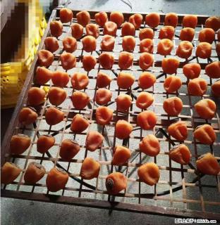 广西桂林平乐桥亭【柿饼之乡】2025年纯手工制作、无任何添加剂的第一批柿饼准备上市了，欢迎联系订购！ - 铜陵28生活网 tongling.28life.com