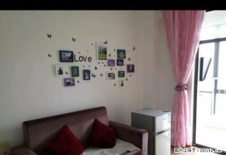 金山广场(财富广场旁)精装一室一厅 家电家具齐全 拎包即住 - 铜陵28生活网 tongling.28life.com