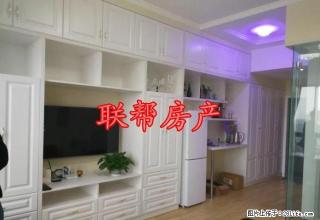 万达对面 万锦 精装公寓 全电器1300出租(多套可短租) - 铜陵28生活网 tongling.28life.com