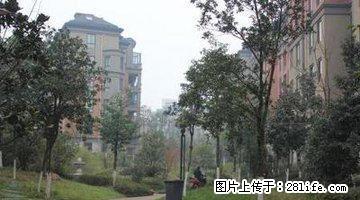 万泰翡翠城(银杏苑) 2室2厅1卫 - 房屋出租 - 房屋租售 - 铜陵分类信息 - 铜陵28生活网 tongling.28life.com