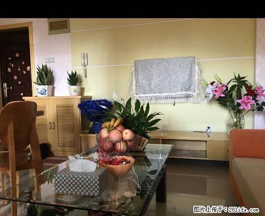 怡嘉公寓电梯房精装修2室2厅1500元 - 房屋出租 - 房屋租售 - 铜陵分类信息 - 铜陵28生活网 tongling.28life.com