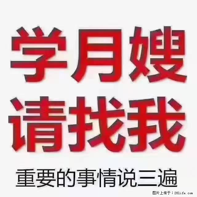 【招聘】月嫂,上海徐汇区 - 职场交流 - 铜陵生活社区 - 铜陵28生活网 tongling.28life.com