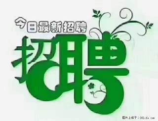 上海青浦区招仓管 - 铜陵28生活网 tongling.28life.com