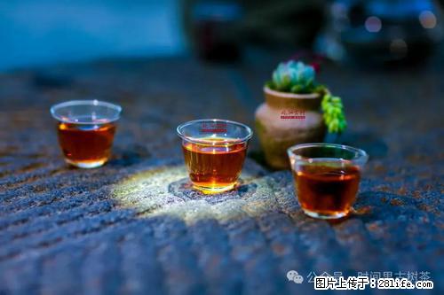 时间果百年古树2025年春红茶 - 购物交流 - 铜陵生活社区 - 铜陵28生活网 tongling.28life.com