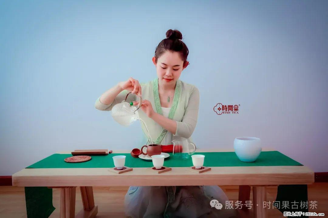 时间果百年古树龙珠普洱生茶 - 购物交流 - 铜陵生活社区 - 铜陵28生活网 tongling.28life.com