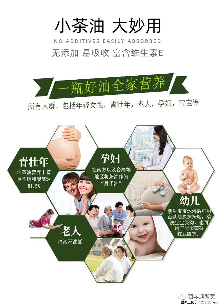 世界没有真相,只有认知,最好的食用油是中国的山茶油! - 铜陵生活资讯 - 铜陵28生活网 tongling.28life.com