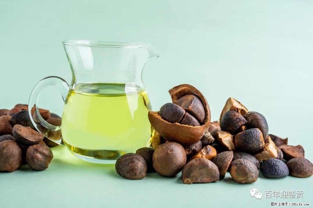 世界没有真相，只有认知，最好的食用油是中国的山茶油！ - 铜陵生活资讯 - 铜陵28生活网 tongling.28life.com