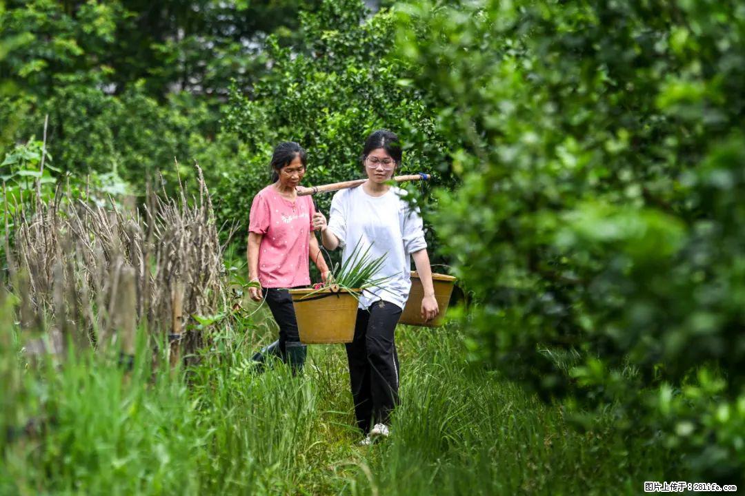 全网追的“扁担女孩”,找了一份暑假工,时薪12元 - 铜陵生活资讯 - 铜陵28生活网 tongling.28life.com