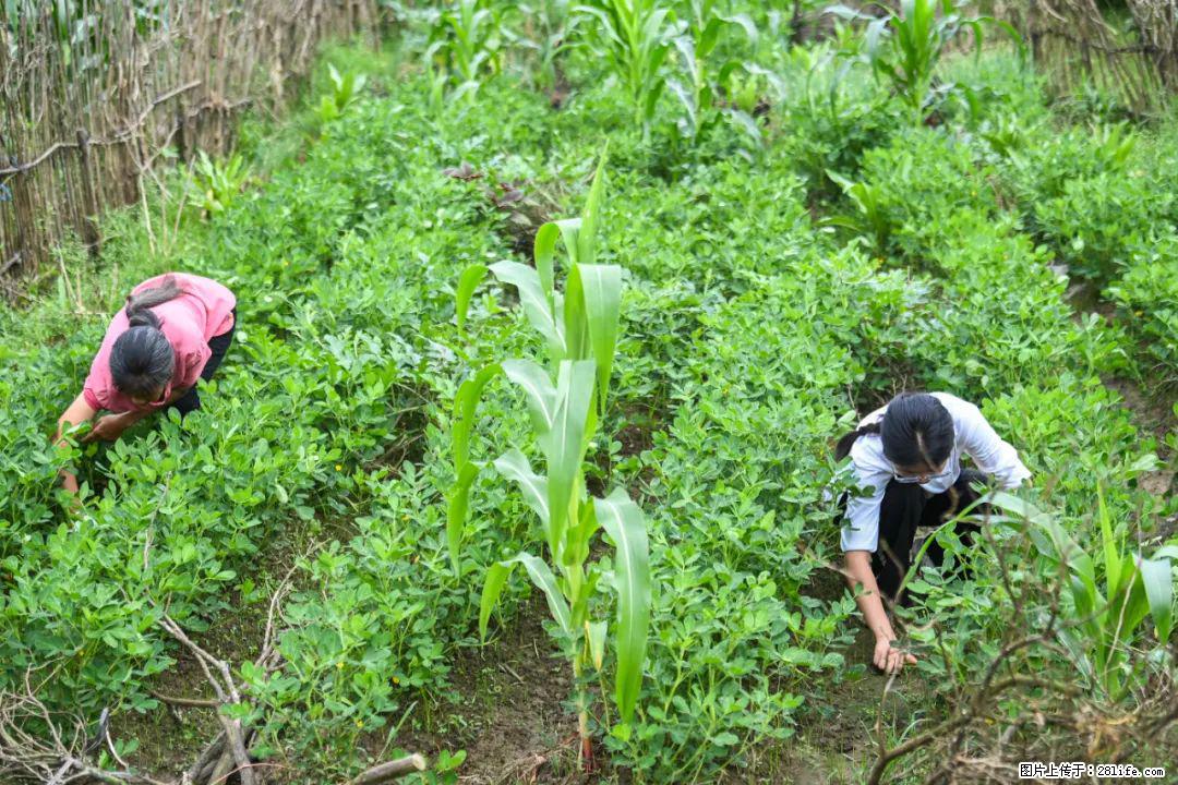 全网追的“扁担女孩”,找了一份暑假工,时薪12元 - 铜陵生活资讯 - 铜陵28生活网 tongling.28life.com