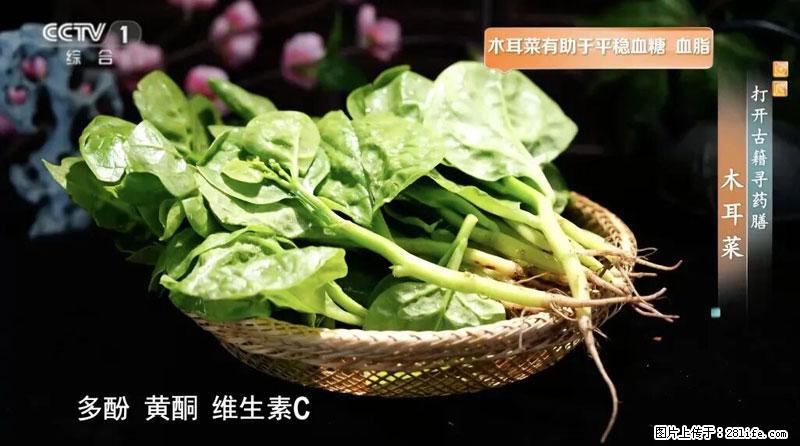 比牛奶补钙还厉害!凉血解毒、稳血糖...这菜冬天必吃,很多人却当草 - 铜陵生活资讯 - 铜陵28生活网 tongling.28life.com