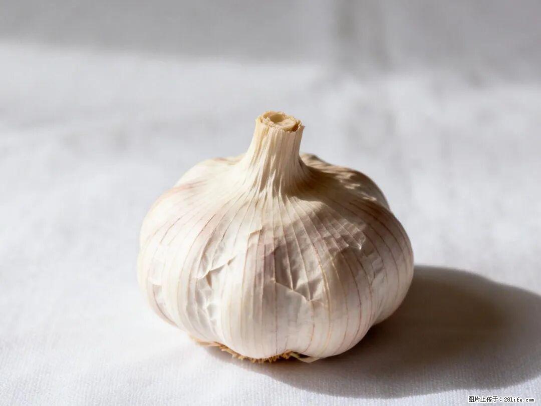 关于大蒜，除了“天然抗生素”，这4个谣言更该警惕! - 铜陵生活资讯 - 铜陵28生活网 tongling.28life.com