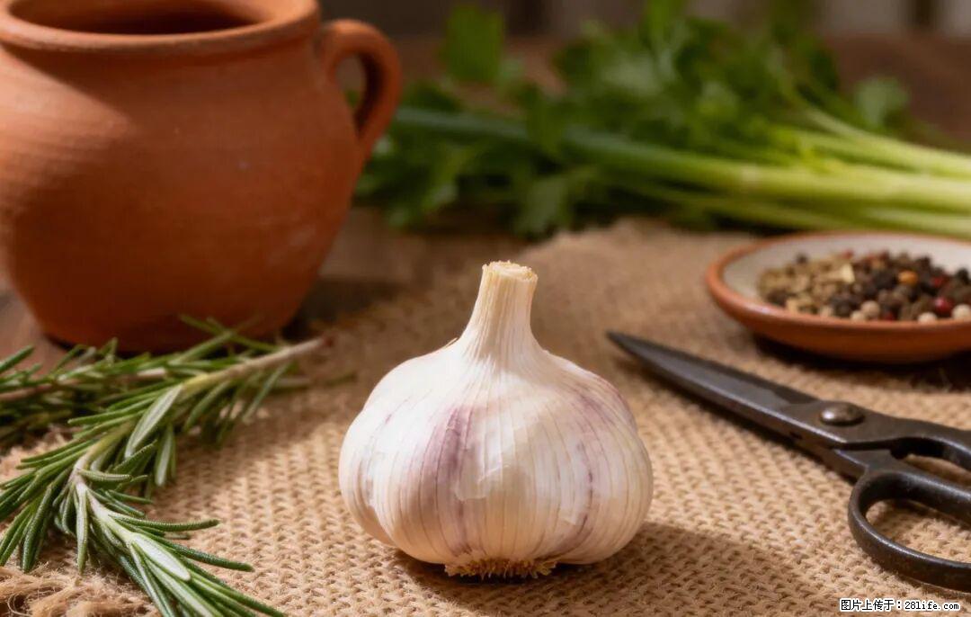 关于大蒜，除了“天然抗生素”，这4个谣言更该警惕! - 铜陵生活资讯 - 铜陵28生活网 tongling.28life.com