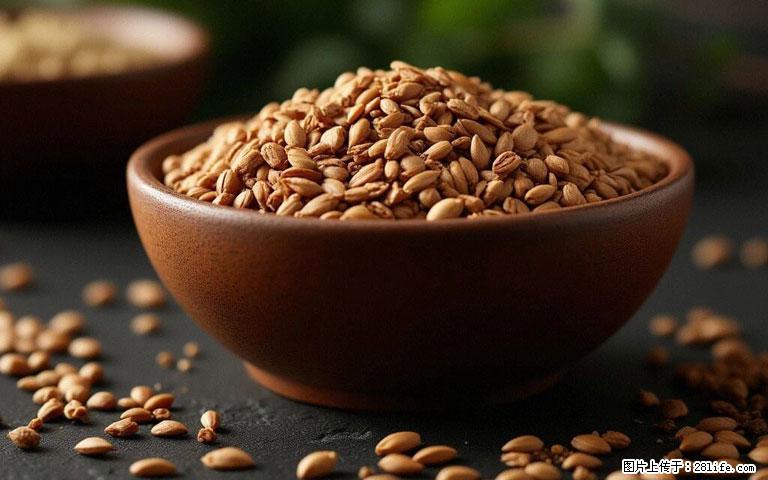 这三苦是三高“克星”，心血管干净不易堵！每天吃一点，指标慢慢降下来~ - 铜陵生活资讯 - 铜陵28生活网 tongling.28life.com