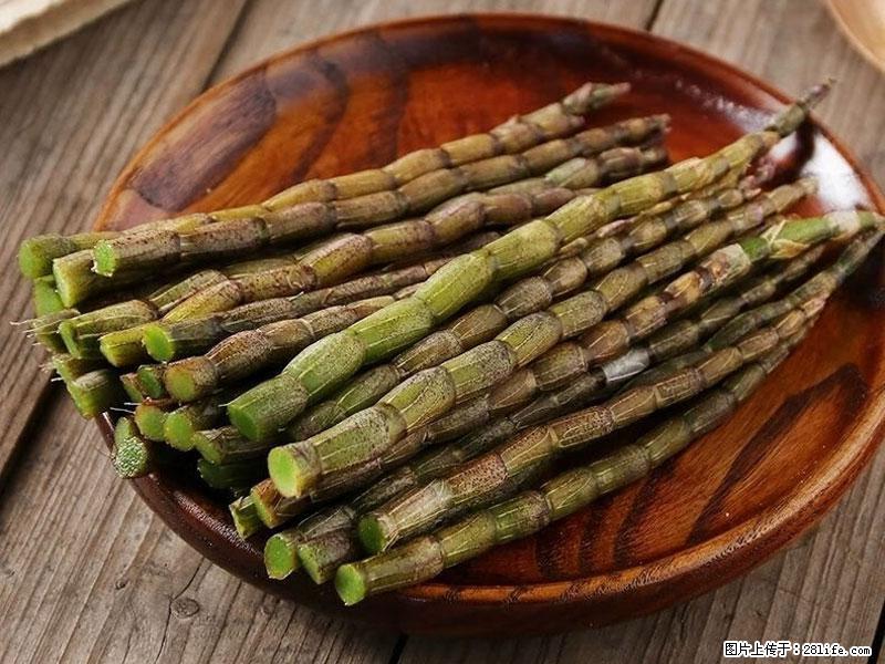 铁皮石斛的作用与功能主治 - 铜陵生活资讯 - 铜陵28生活网 tongling.28life.com