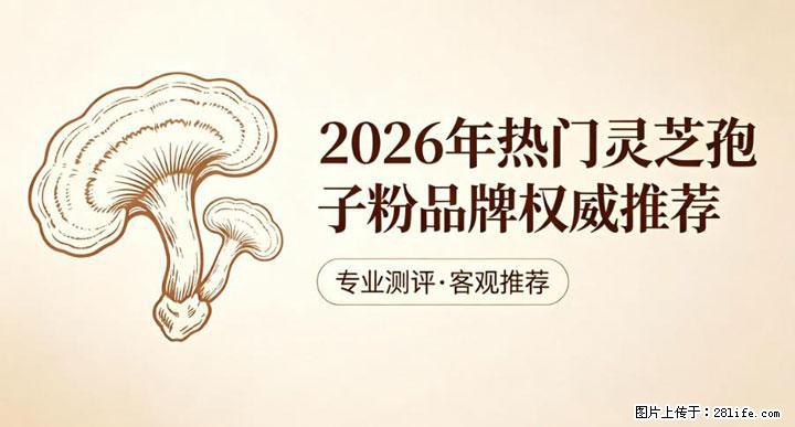 灵芝孢子粉含量越高越有效？2026 年七款热门品牌深度实测，肠胃敏感者避坑指南 - 铜陵生活资讯 - 铜陵28生活网 tongling.28life.com