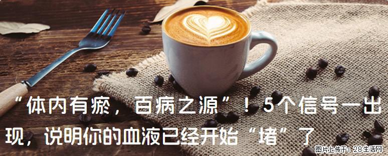 “体内有瘀,百病之源”!5个信号一出现,说明你的血液已经开始“堵”了 - 铜陵生活资讯 - 铜陵28生活网 tongling.28life.com